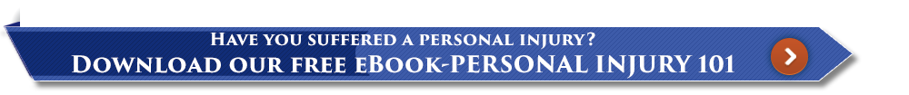 Personal Injury 101 ebook