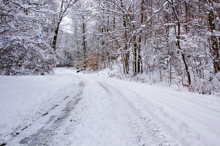 snowy road.jpg